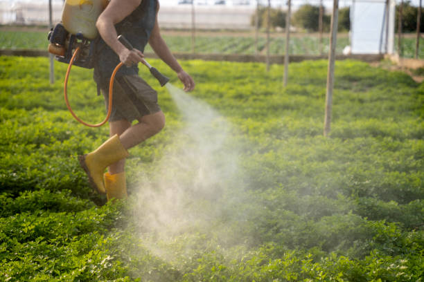 Professional Pest Control in Northlake, IL