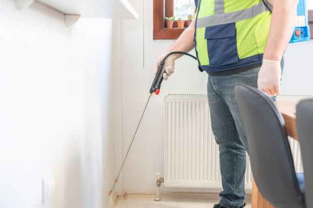 Best Wasp Removal Services  in Northlake, IL