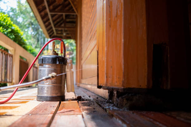 Best Ant Control Services  in Northlake, IL