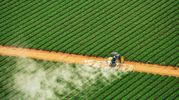 Best Pest Removal Services  in Northlake, IL