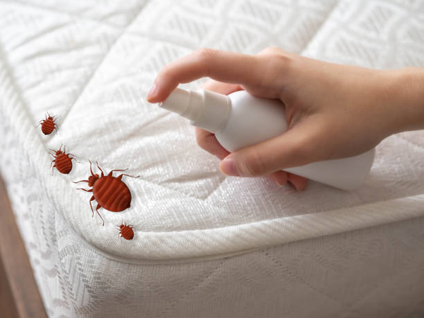 Best Commercial Pest Control Services  in Northlake, IL