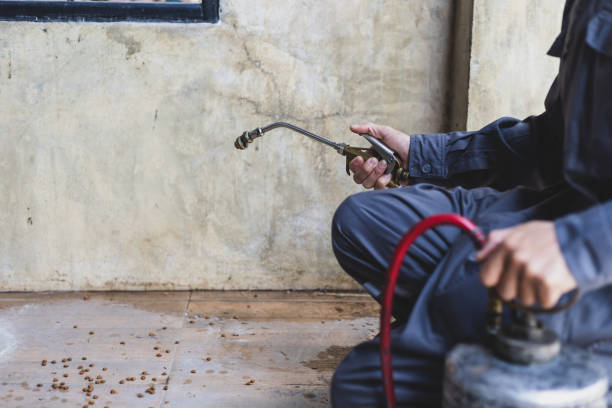 Professional Pest Control in Northlake, IL