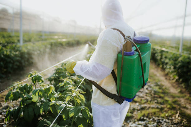 Best Best Pest Control Companies  in Northlake, IL